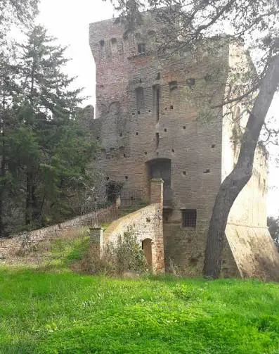 Anteprima