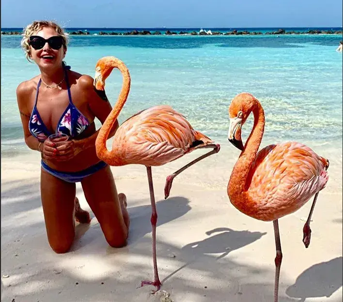 CARAIBI VIETATI A 15 RAGAZZI DEL CAMPANA-CORRIDONI: AL LORO POSTO, FORSE, LA PRESIDE USCENTE BRANDONI