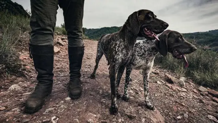 SCOSSICCI, LORETO PUNTA ALLA PARTE CIVILE: GIUSTIZIA O PROPAGANDA?