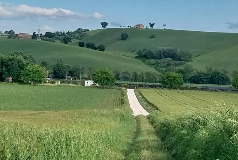 Anteprima