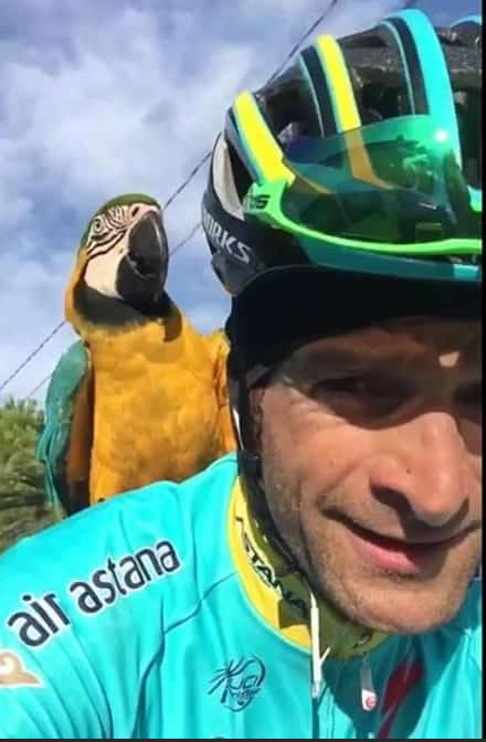 L'ULTIMO VOLO DI FRANKIE, L'AMICA CON LE ALI DI SCARPONI RAGGIUNGE IL SUO CAMPIONE TRA LE NUVOLE