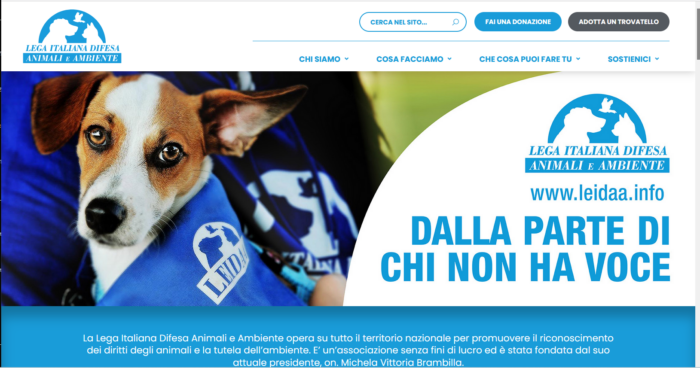 immagine importata