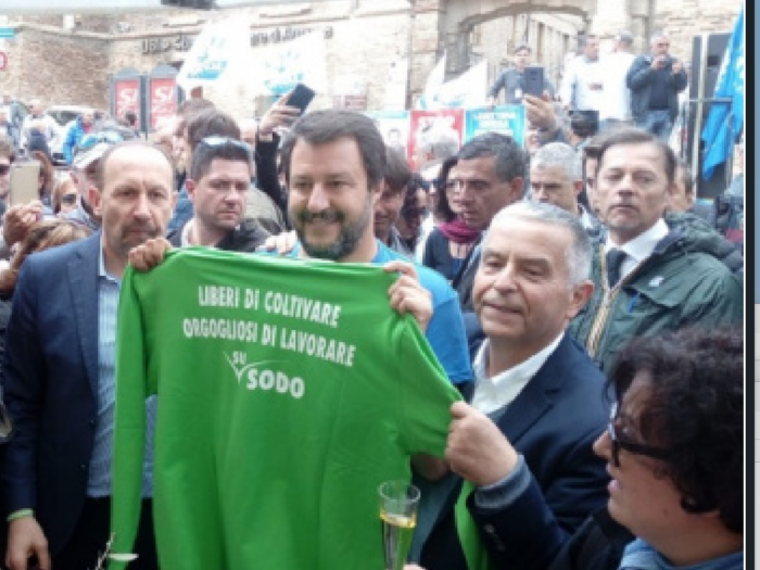 immagine importata