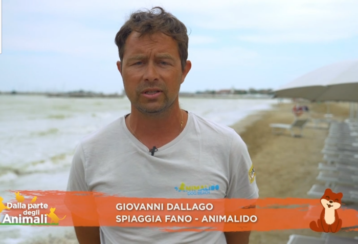 immagine importata