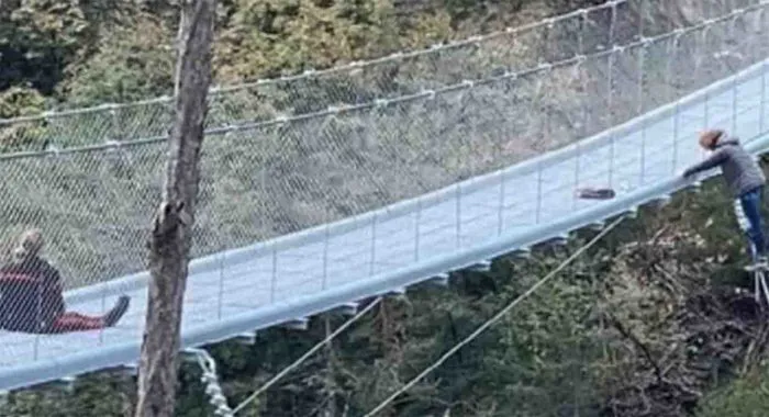 immagine importata