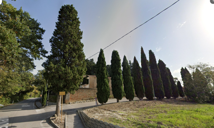 immagine importata