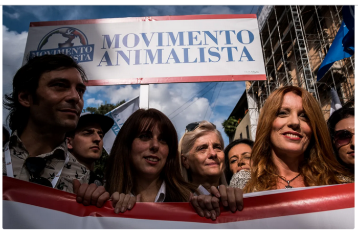 immagine importata