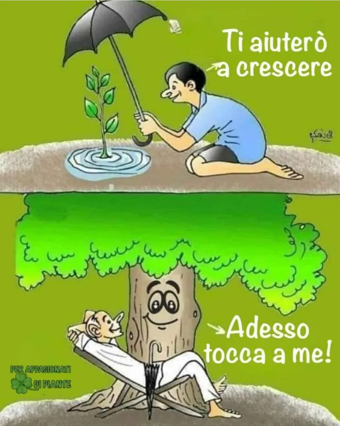 immagine importata