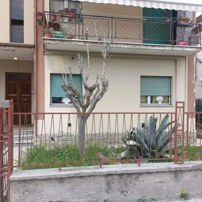 immagine importata