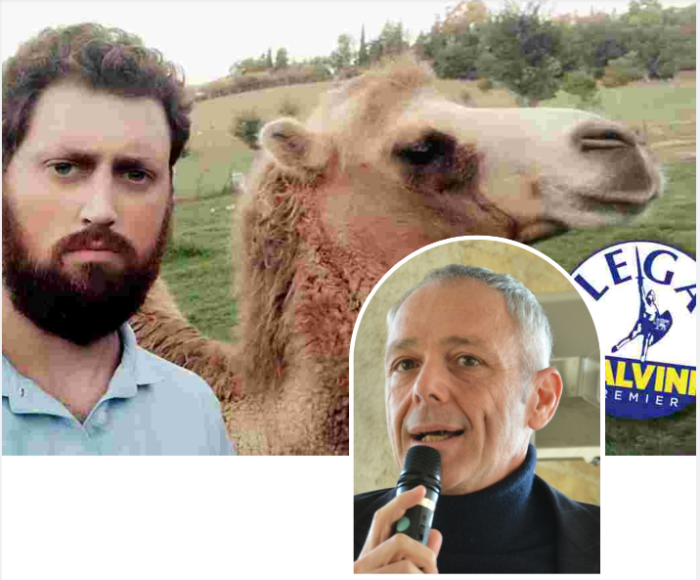 immagine importata