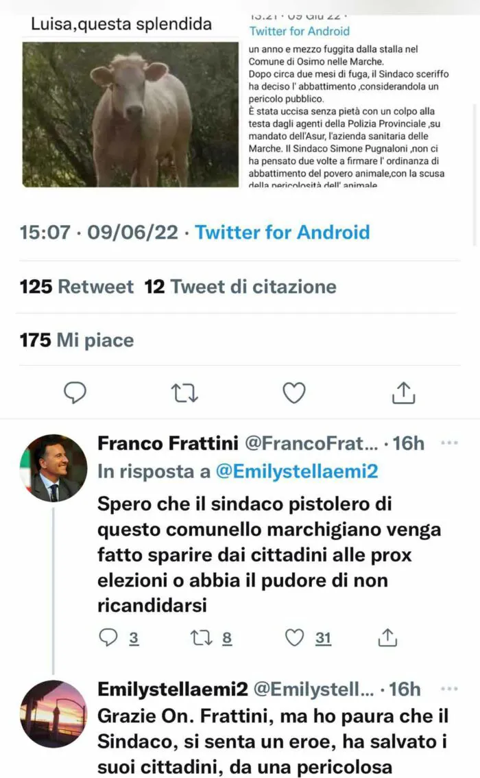immagine importata