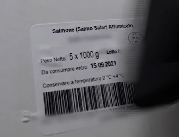 immagine importata