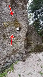 immagine importata