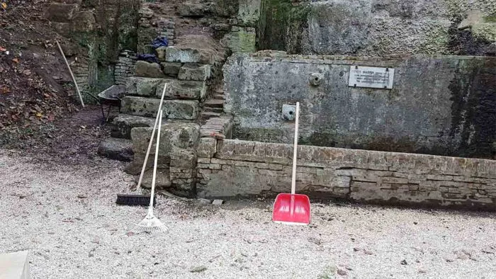 immagine importata