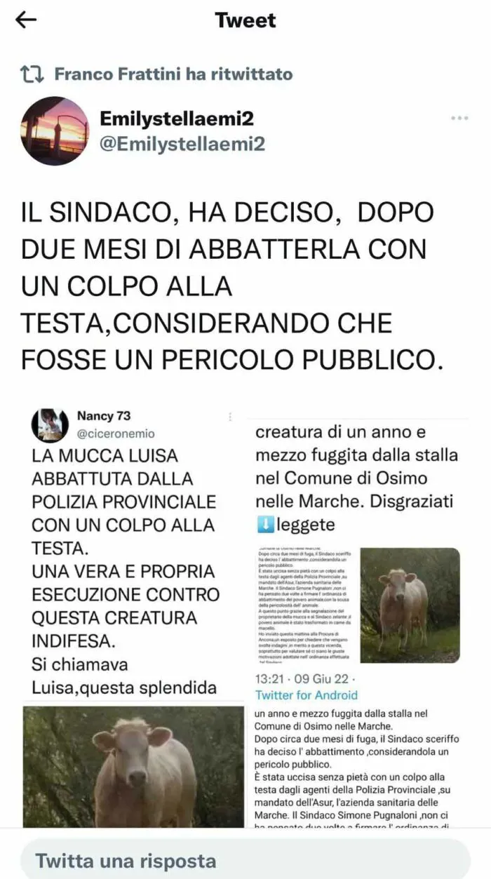 immagine importata