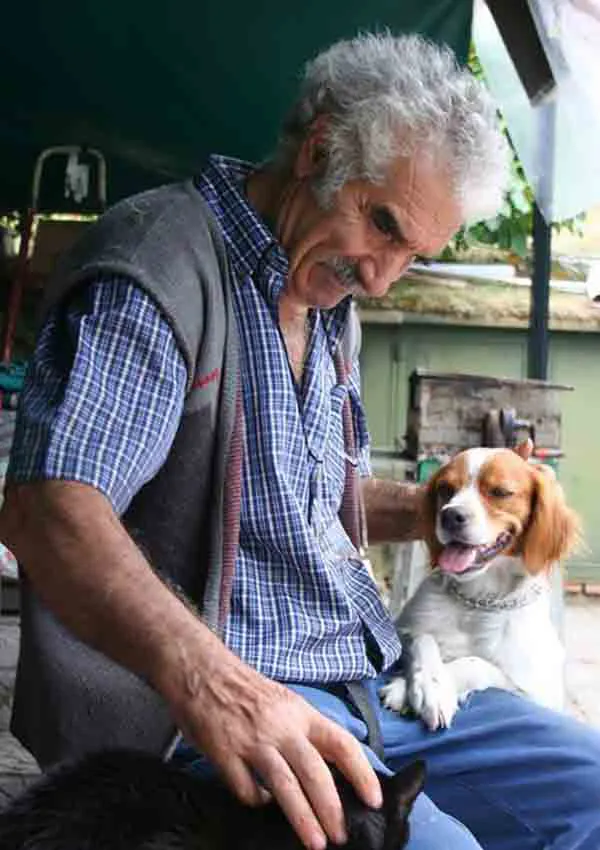 immagine importata