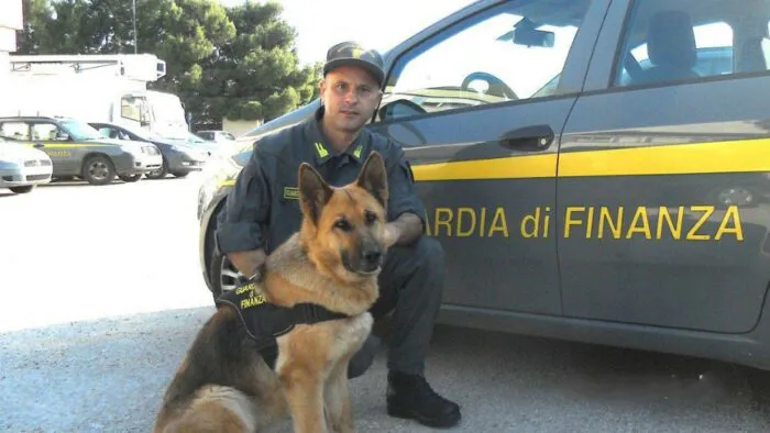 immagine importata