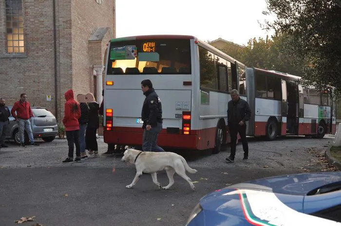 immagine importata