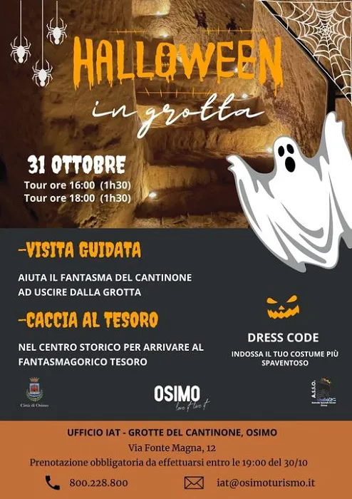 immagine importata