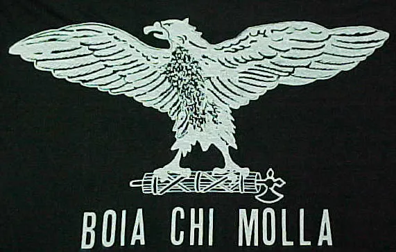 immagine importata