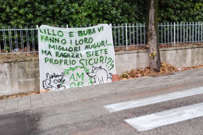 immagine importata