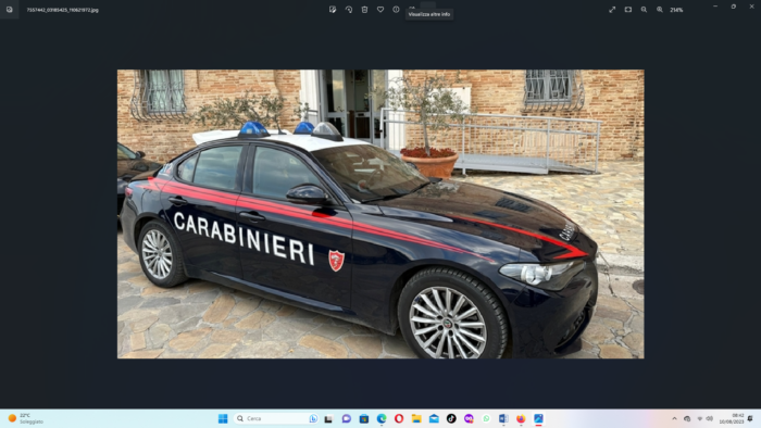 immagine importata