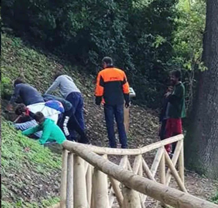immagine importata