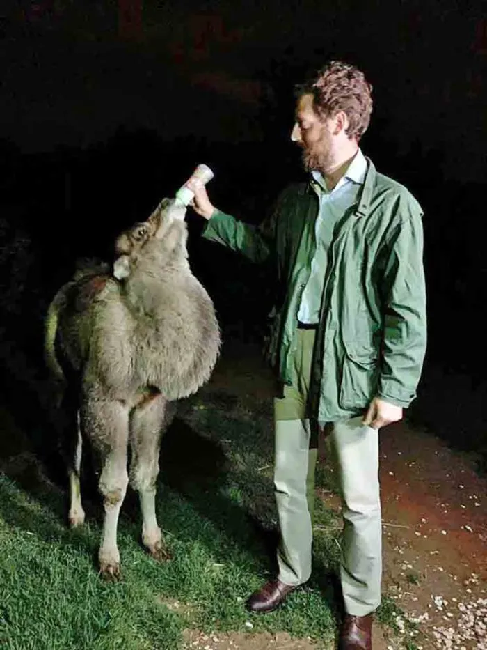 immagine importata