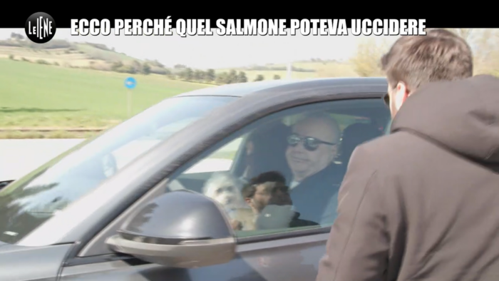 immagine importata