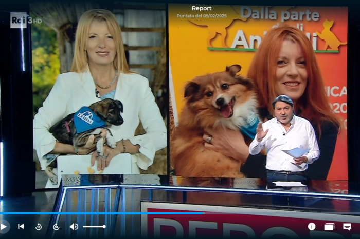 immagine importata