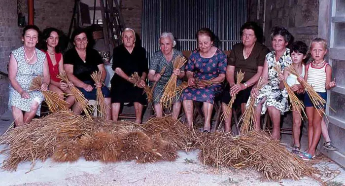 immagine importata