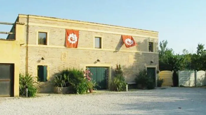 immagine importata