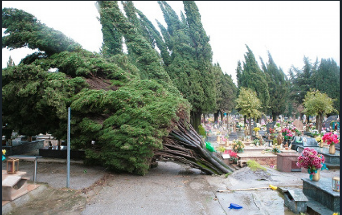 immagine importata
