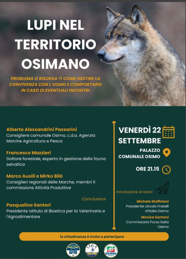 immagine importata