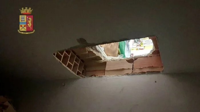 immagine importata