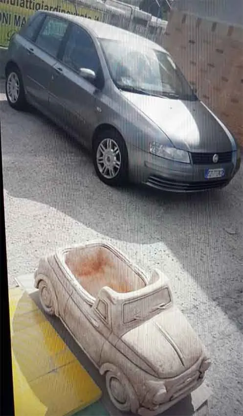 immagine importata