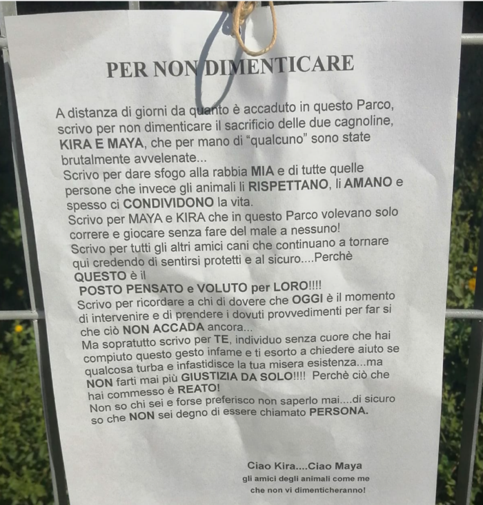 immagine importata