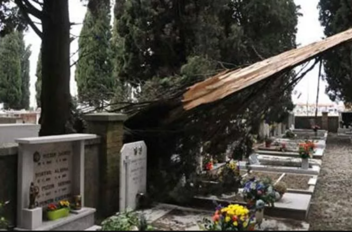 immagine importata