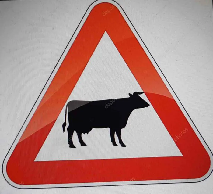 immagine importata
