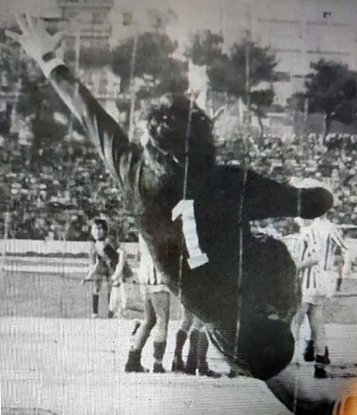 immagine importata