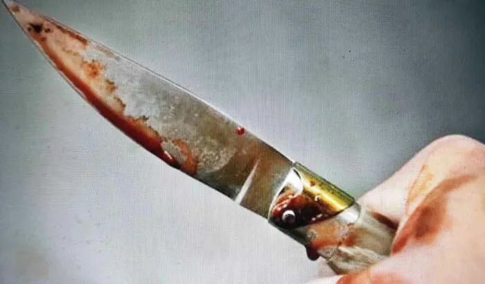 immagine importata
