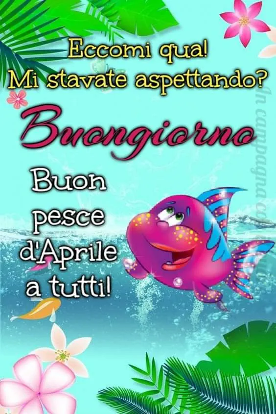immagine importata